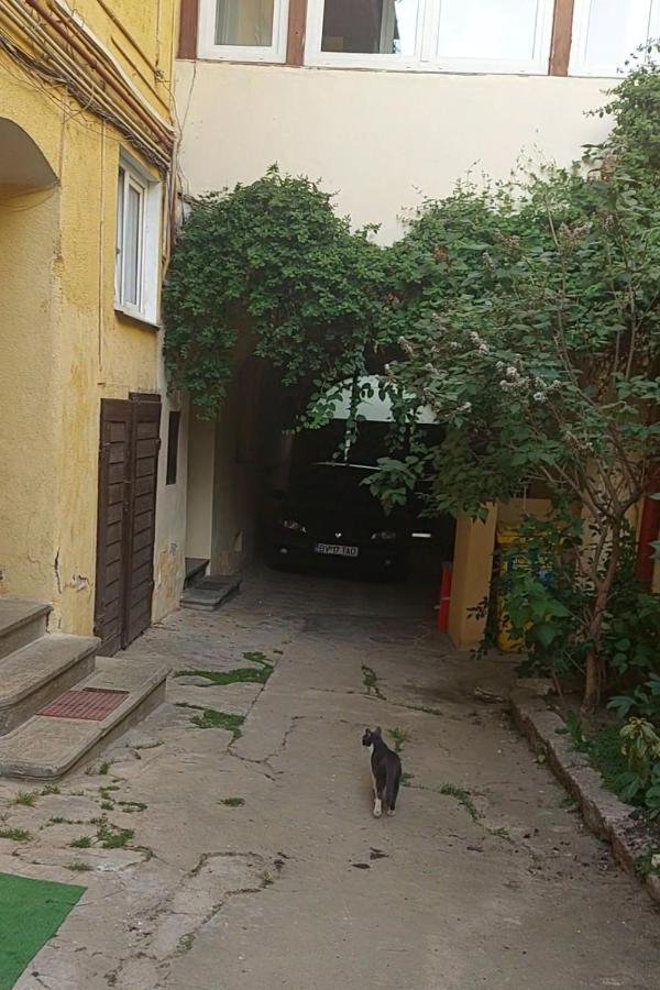 דירות בראשוב Apartament Diaconu Coresi מראה חיצוני תמונה